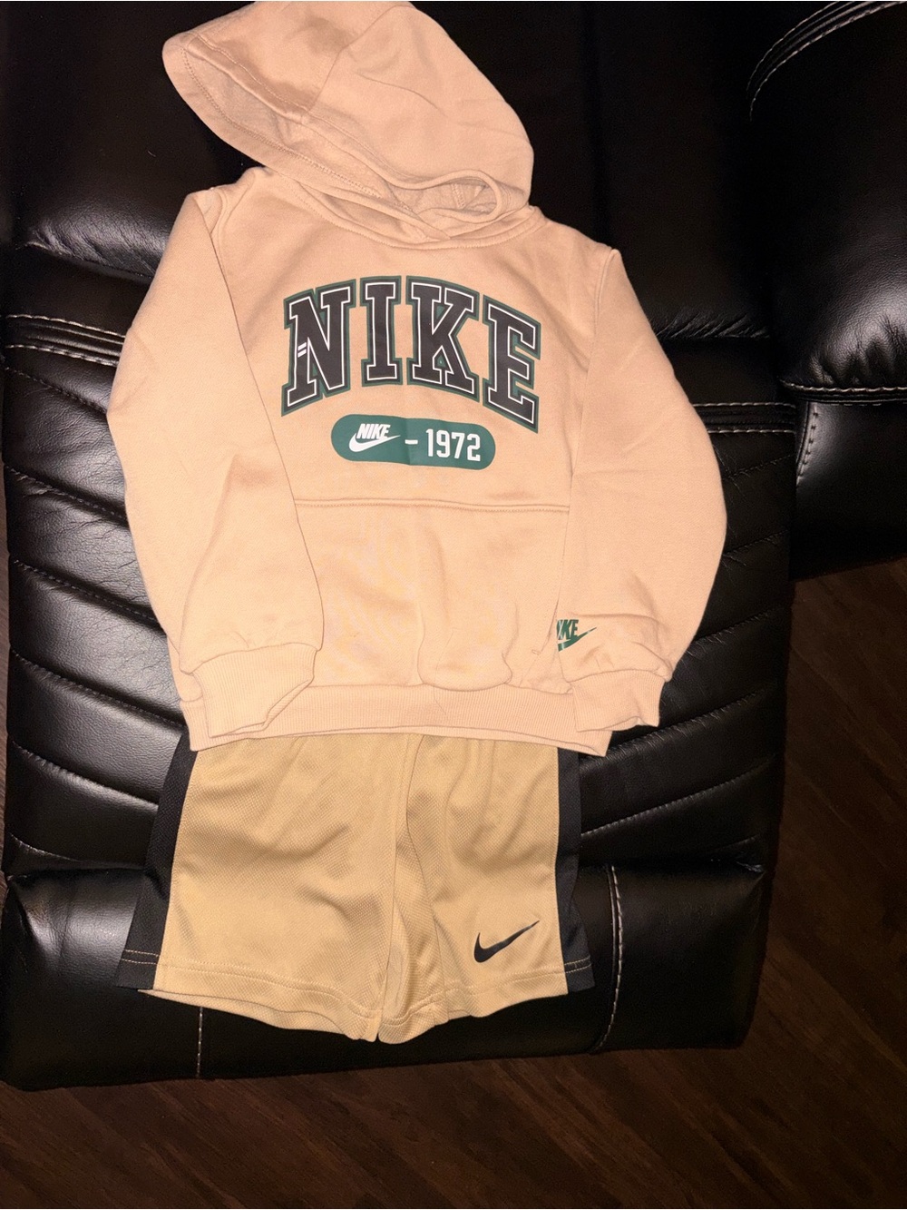 Nike Kids Beige Hoodie with Green Logo